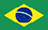 البرازيل flag