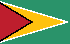 غيانا flag